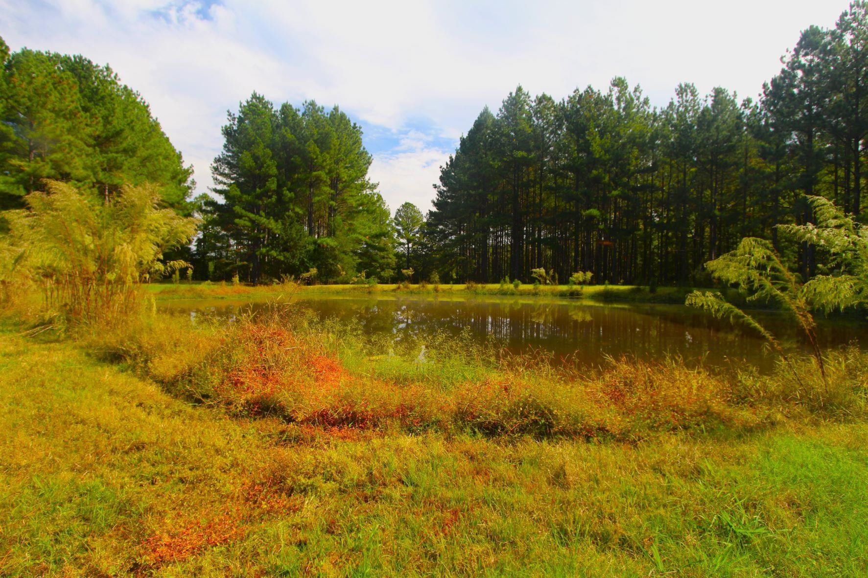 4161 Range Road Stem, NC 27581 - Photo 39 of 43 a view of a lake with houses in the background