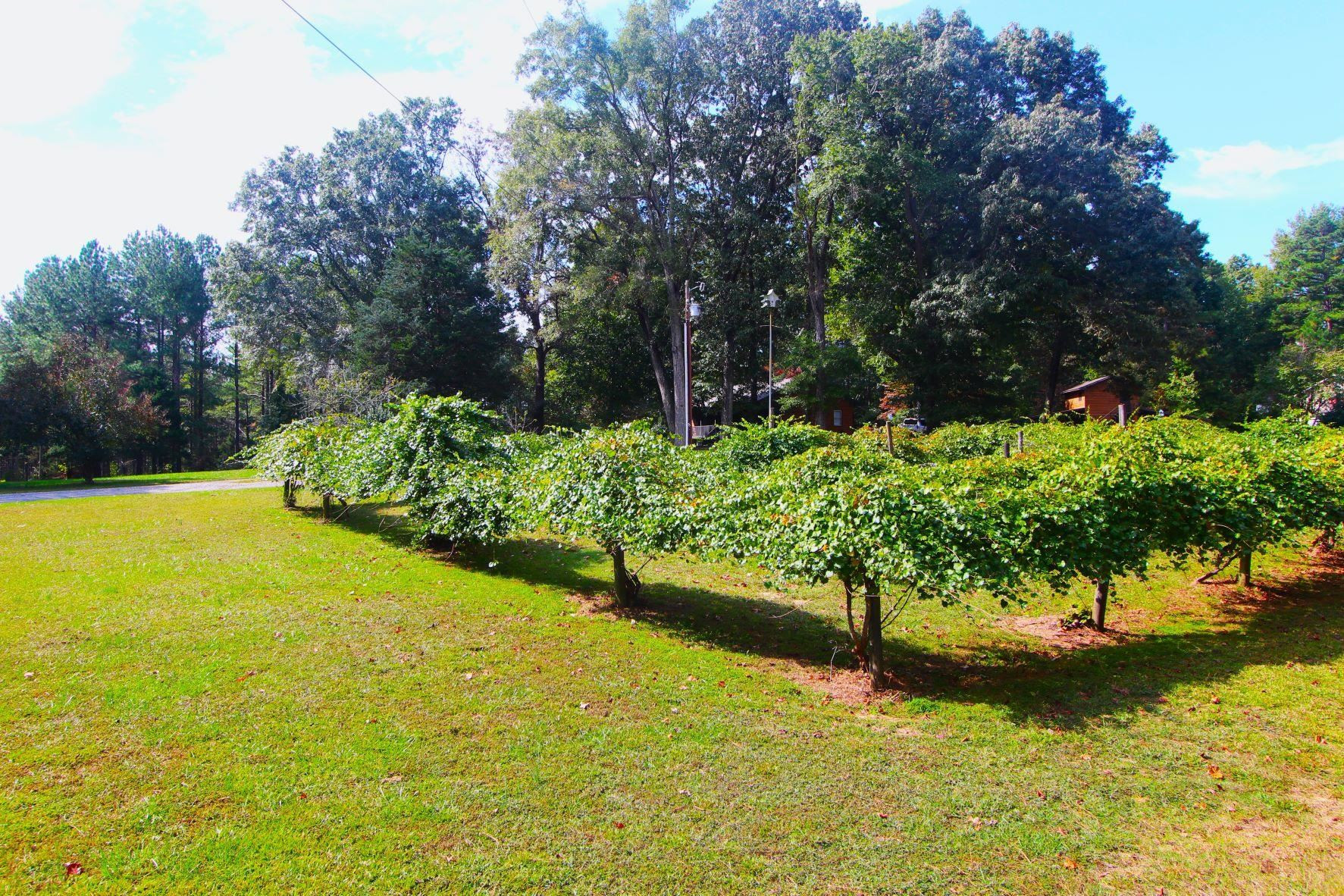 4161 Range Road Stem, NC 27581 - Photo 42 of 43 a view of a garden with plants