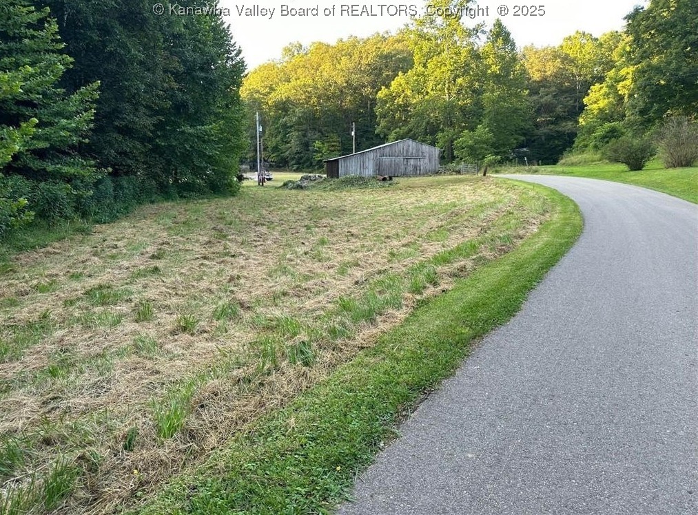 Gallery Image 6