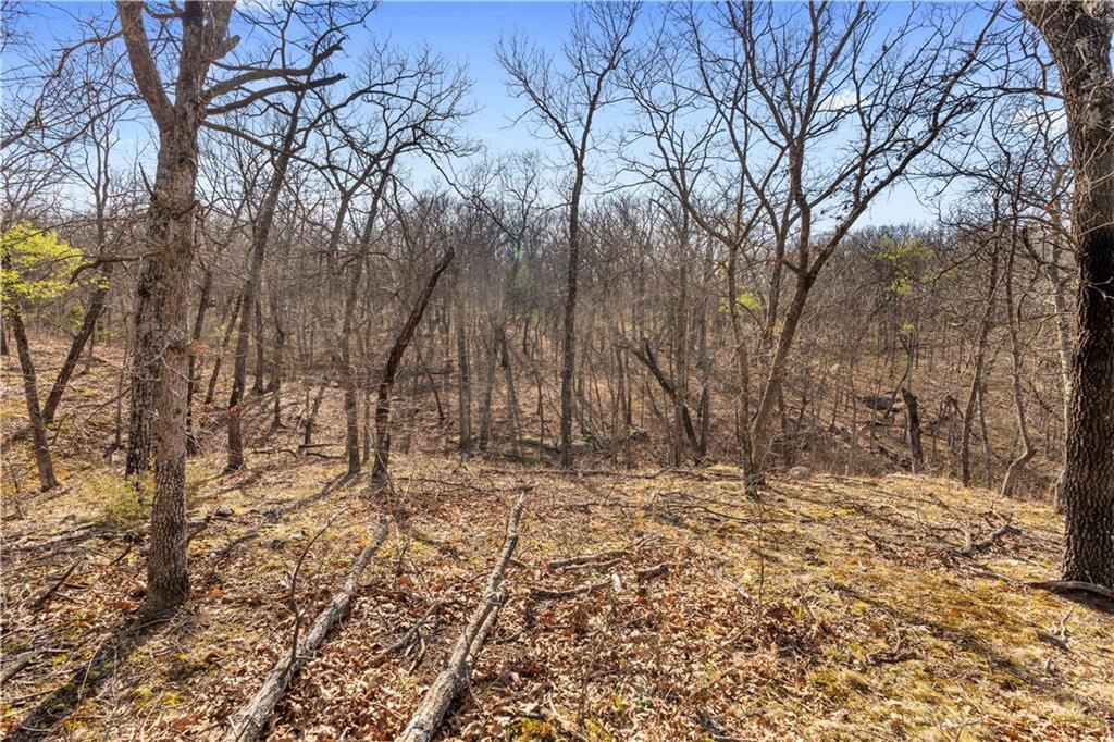 1 East Overland Road Nevada, MO 64772 - Photo 16 of 20
