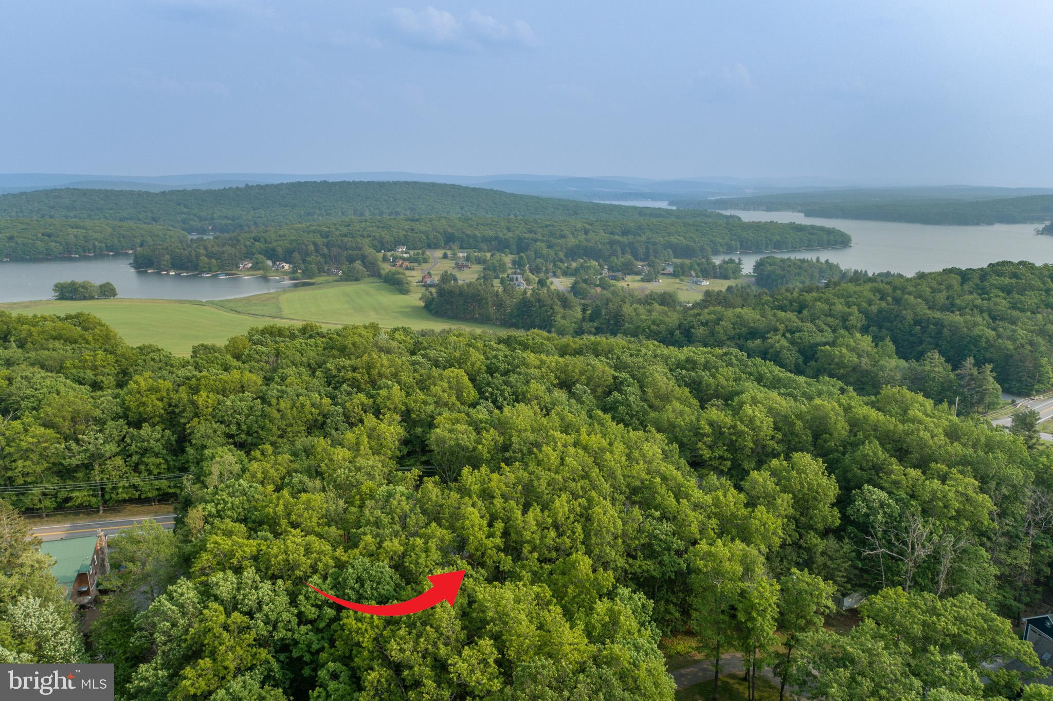 2195 Glendale Road Swanton, MD 21561 - Photo 35 of 35
