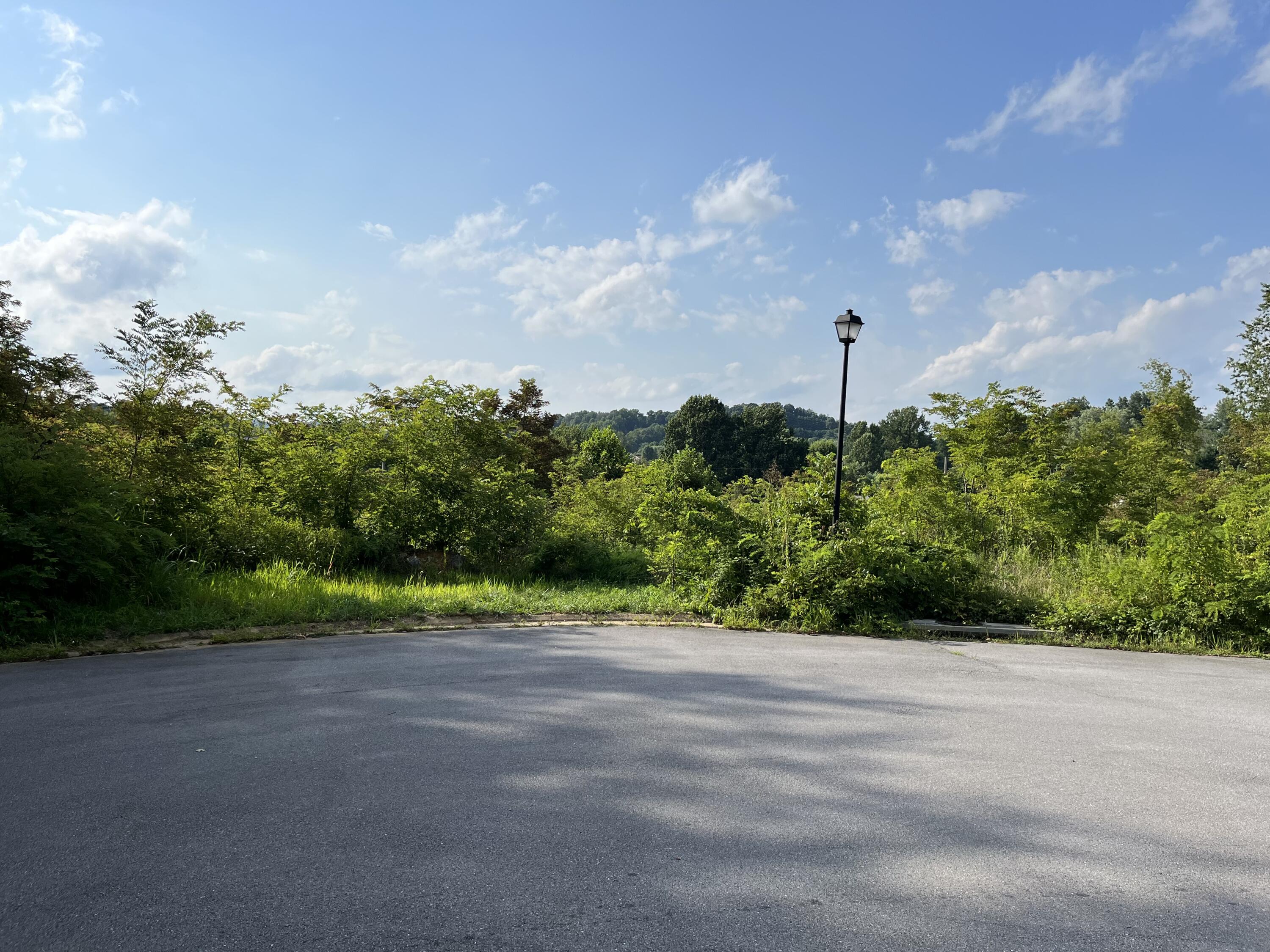 201 Roo Place Bristol, VA 24201 - Photo 2 of 4 image_50408193 (1)