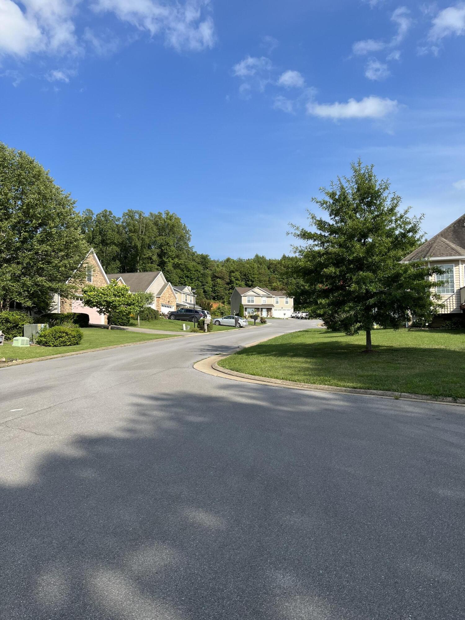 201 Roo Place Bristol, VA 24201 - Photo 4 of 4 image_67151105