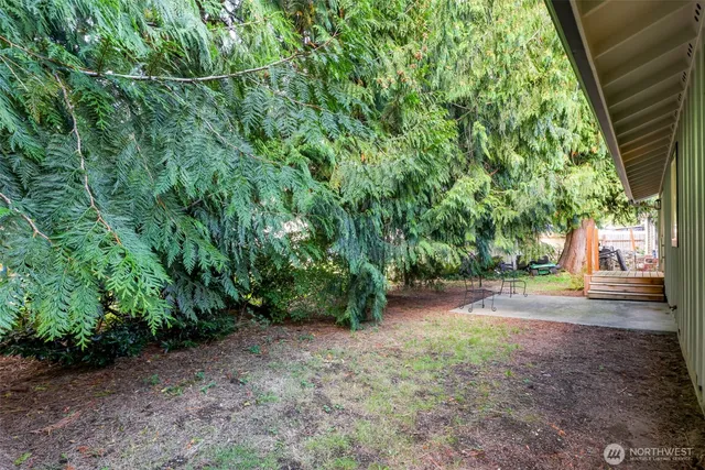 a view of a yard with plants and a trees