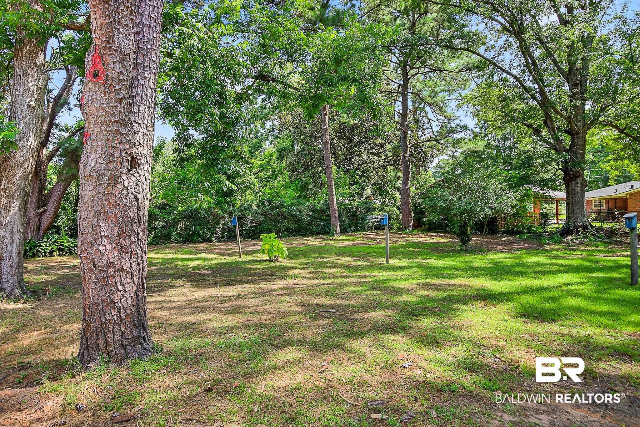 101 Terry Avenue Brewton, AL 36426 - Photo 17 of 48 View of grassy yard with view of wooded area