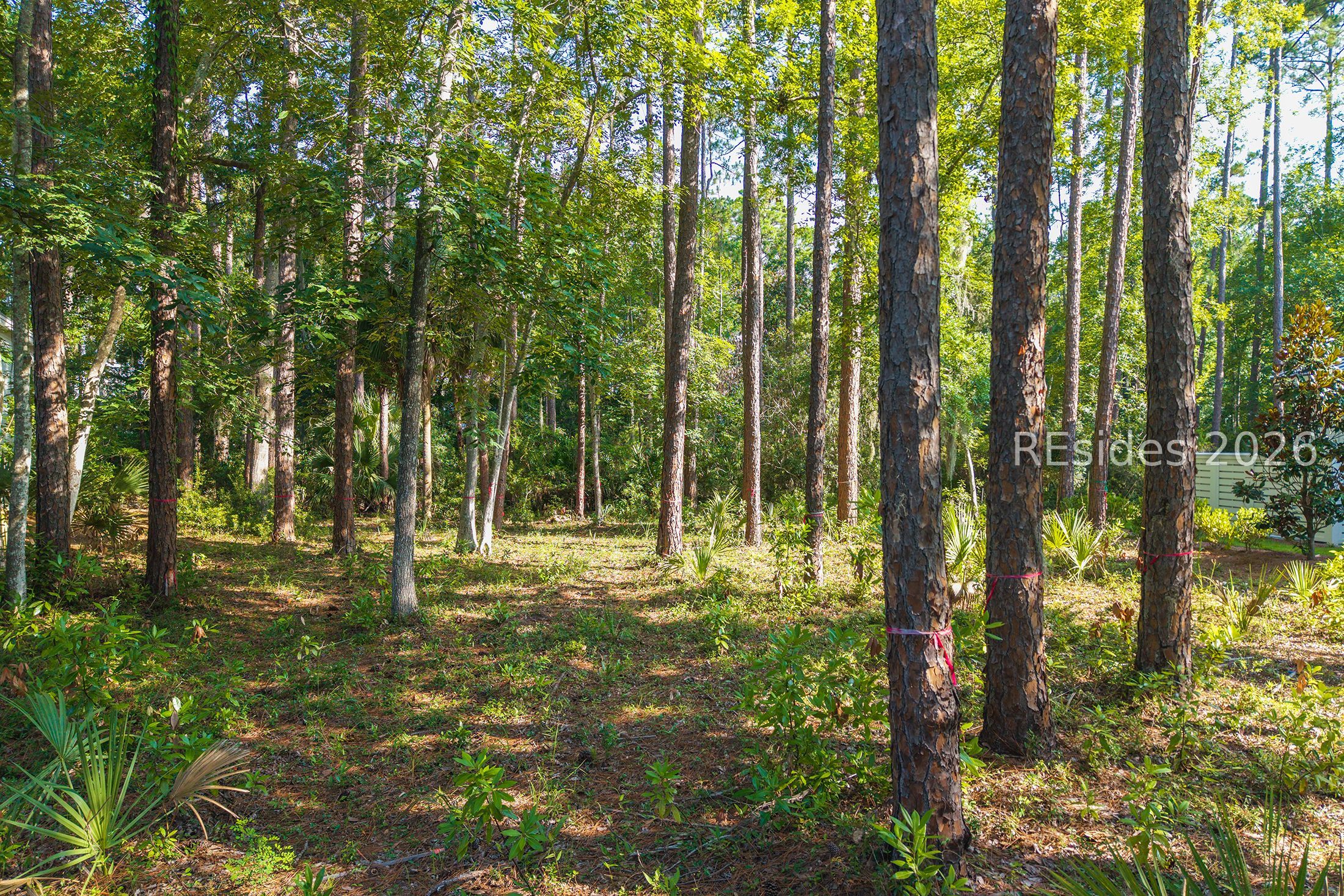 4 Refuge Street Bluffton, SC 29910 - Photo 6 of 8