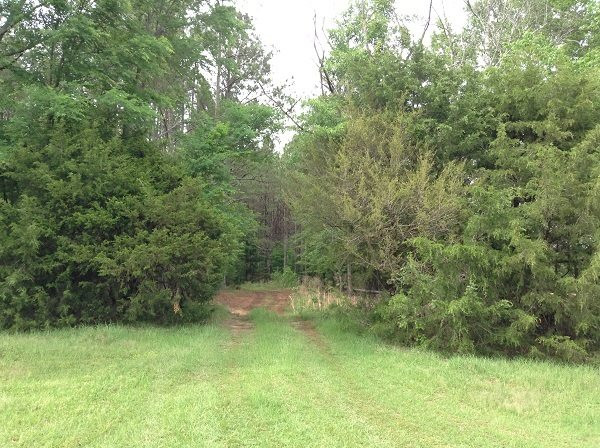 0 Webster Creek Road Lexington, MS 39095 - Photo 13 of 14 Photo 15