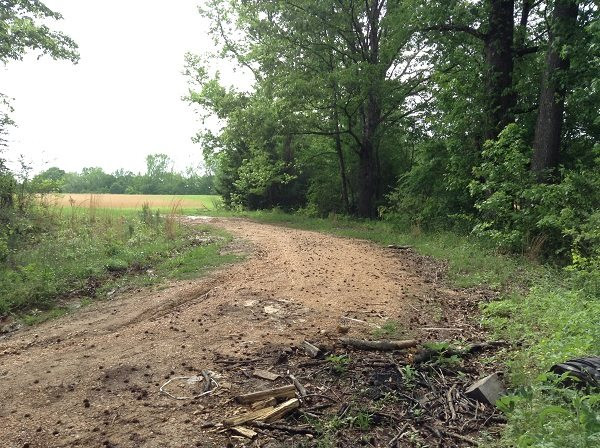 0 Webster Creek Road Lexington, MS 39095 - Photo 14 of 14 Photo 16