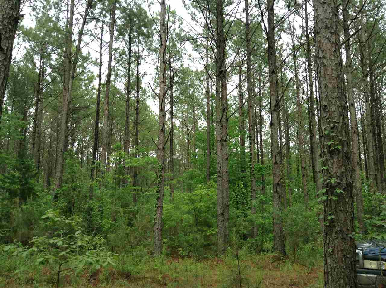 0 Webster Creek Road Lexington, MS 39095 - Photo 2 of 14 Photo 2
