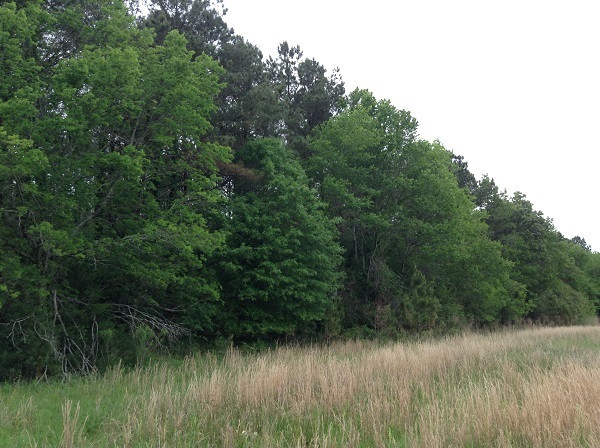 0 Webster Creek Road Lexington, MS 39095 - Photo 7 of 14 Photo 7
