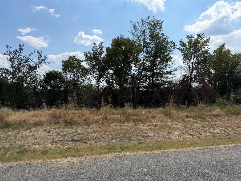 Lot 5 Co Road Farmersville, TX 75442 - Photo 1 of 15 Additional content