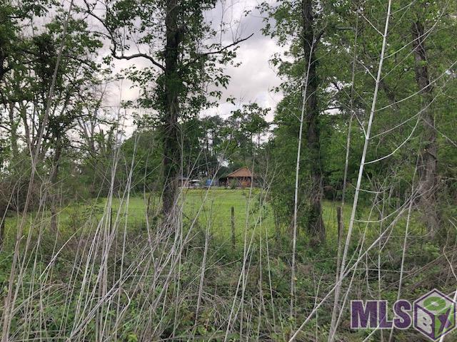 Lot N Dickenson Street Rosedale, LA 70772 - Photo 6 of 7 Gallery Image 6