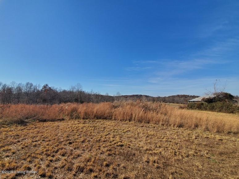148 Turci Nevins Road Caneyville, KY 42721 - Photo 5 of 26 148 Turci Nevins Rd5