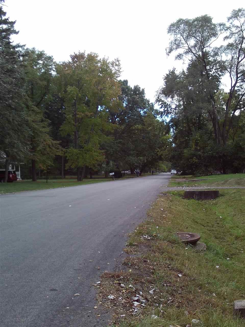 21469 Greenview Road Southfield, MI 48075 - Photo 8 of 19 Southern view down the street - note how secluded and quiet this neighborhood is!