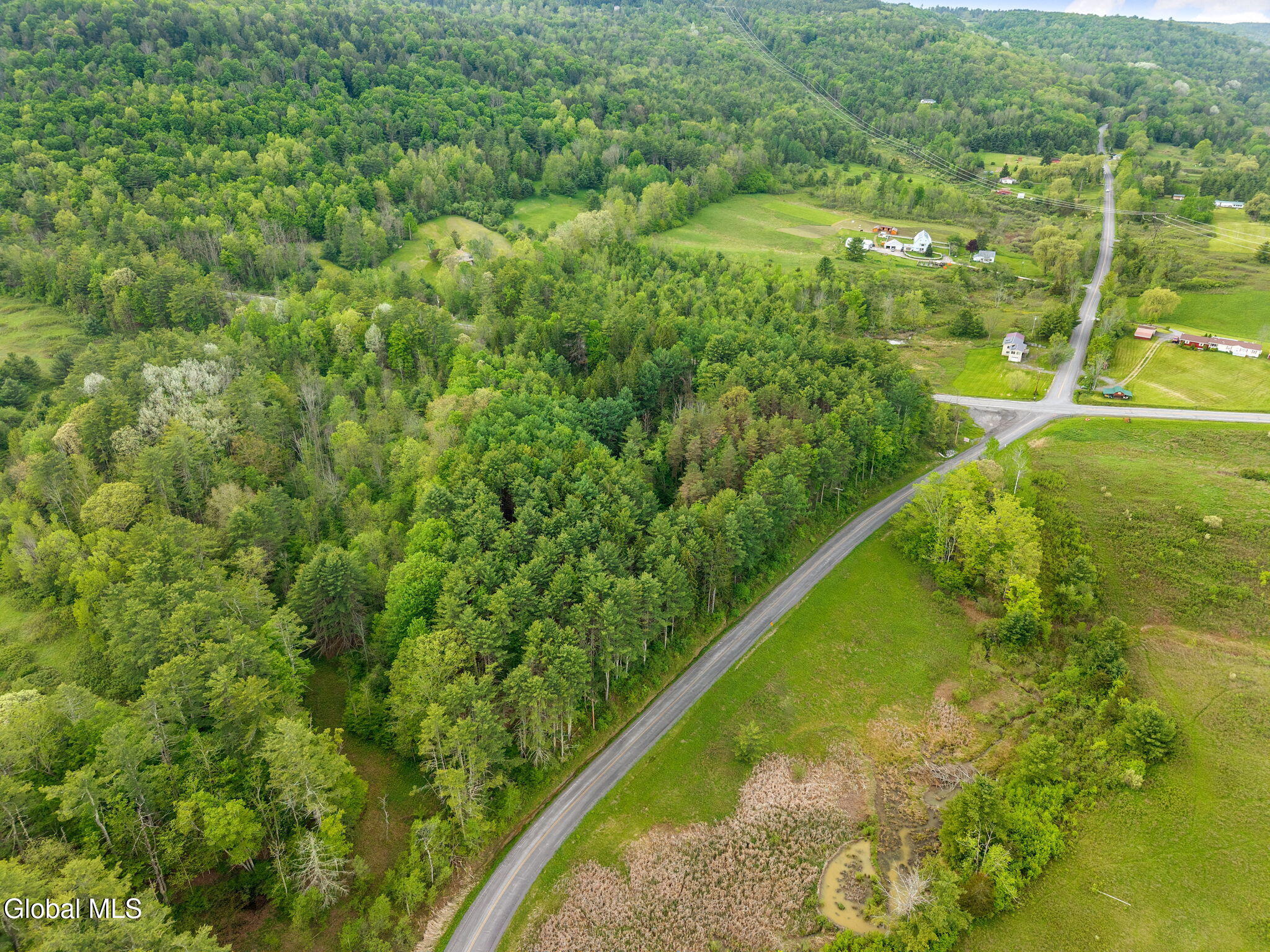 1432 Shew Hollow Road Gilboa, NY 12076 - Photo 51 of 55 56-1432ShewHollowRd_56