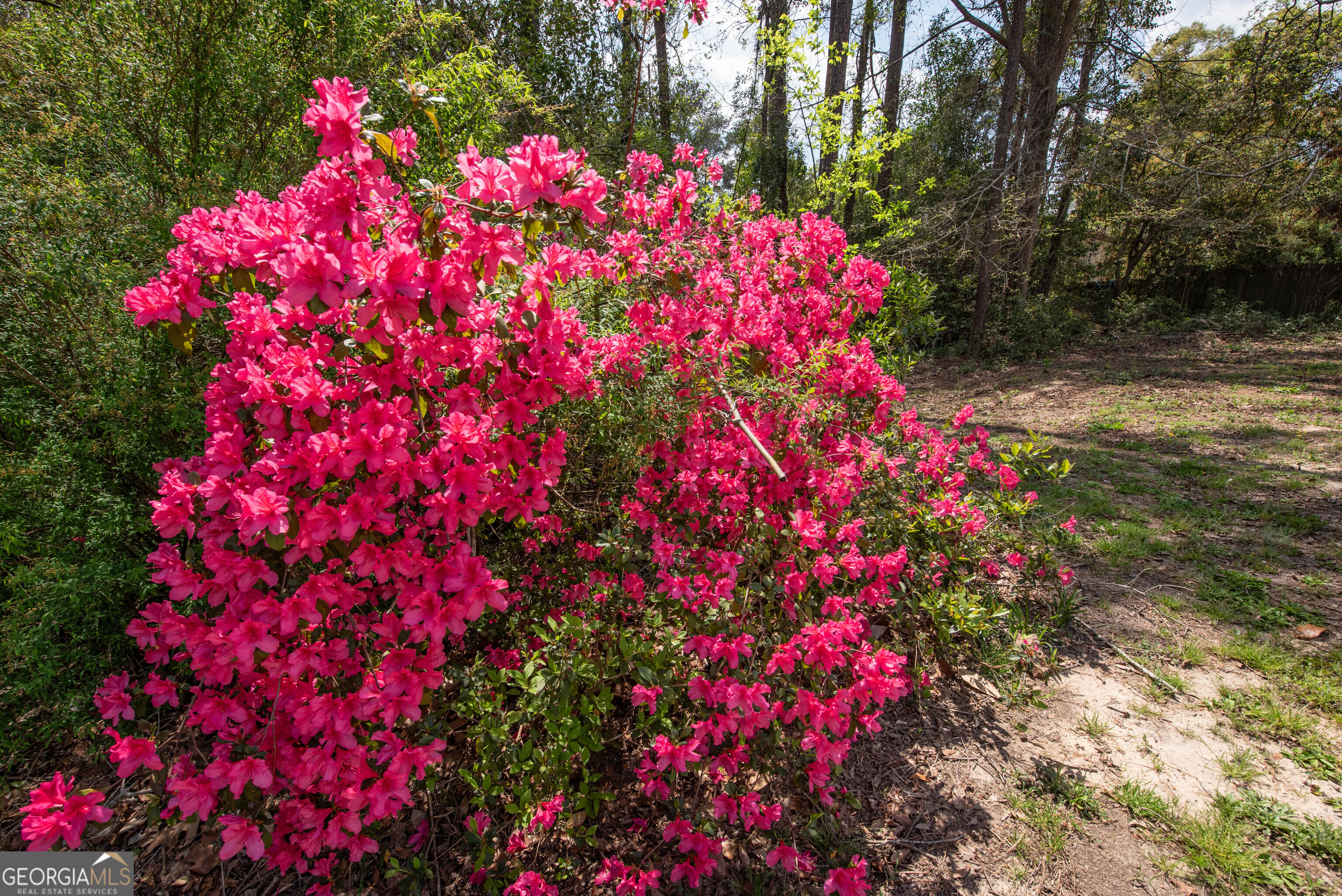 4350 Jones Road Macon, GA 31216 - Photo 10 of 92