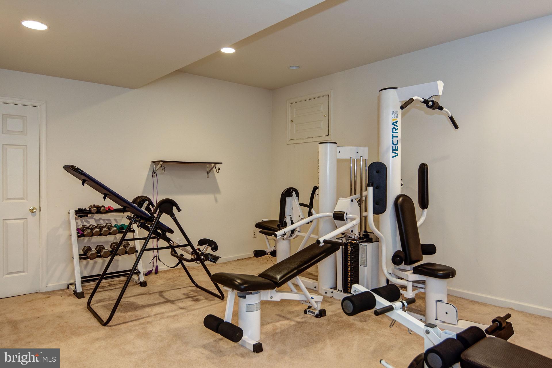 803 Castleton Drive Mickleton, NJ 08056 - Photo 49 of 59 Gallery Image 49