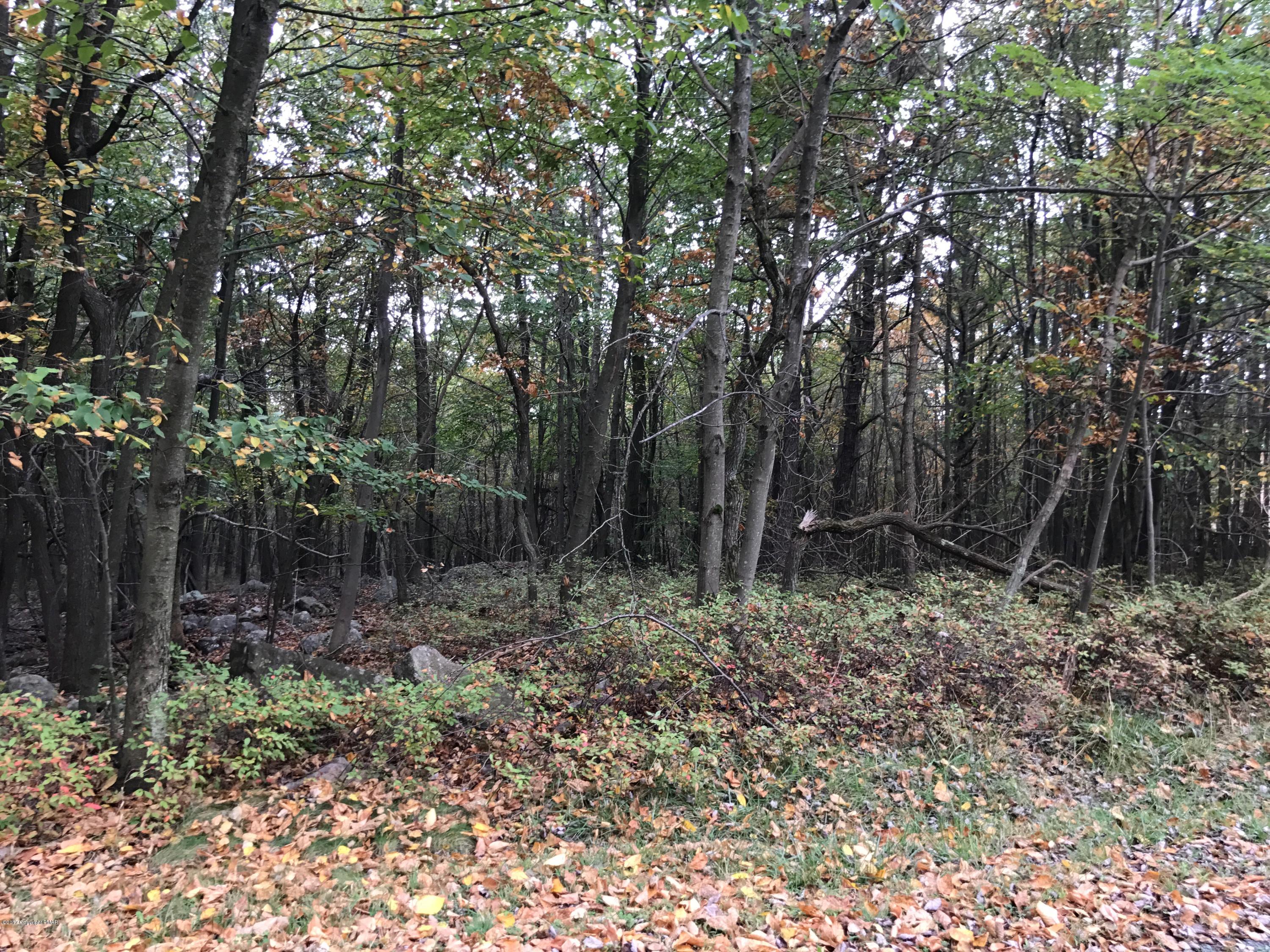 84 Crestview Road Blakeslee, PA 18610 - Photo 1 of 1 IMG_0162 (1)