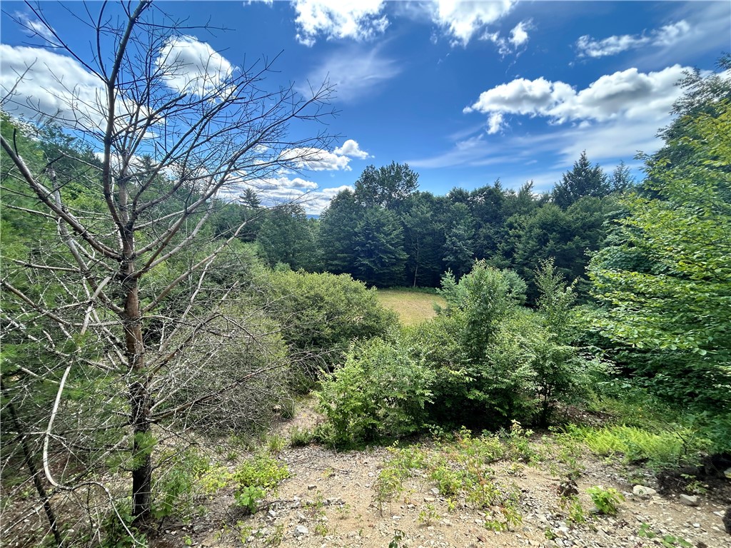 270 Collins-Gifford Valley Road Northampton, NY 12134 - Photo 1 of 26