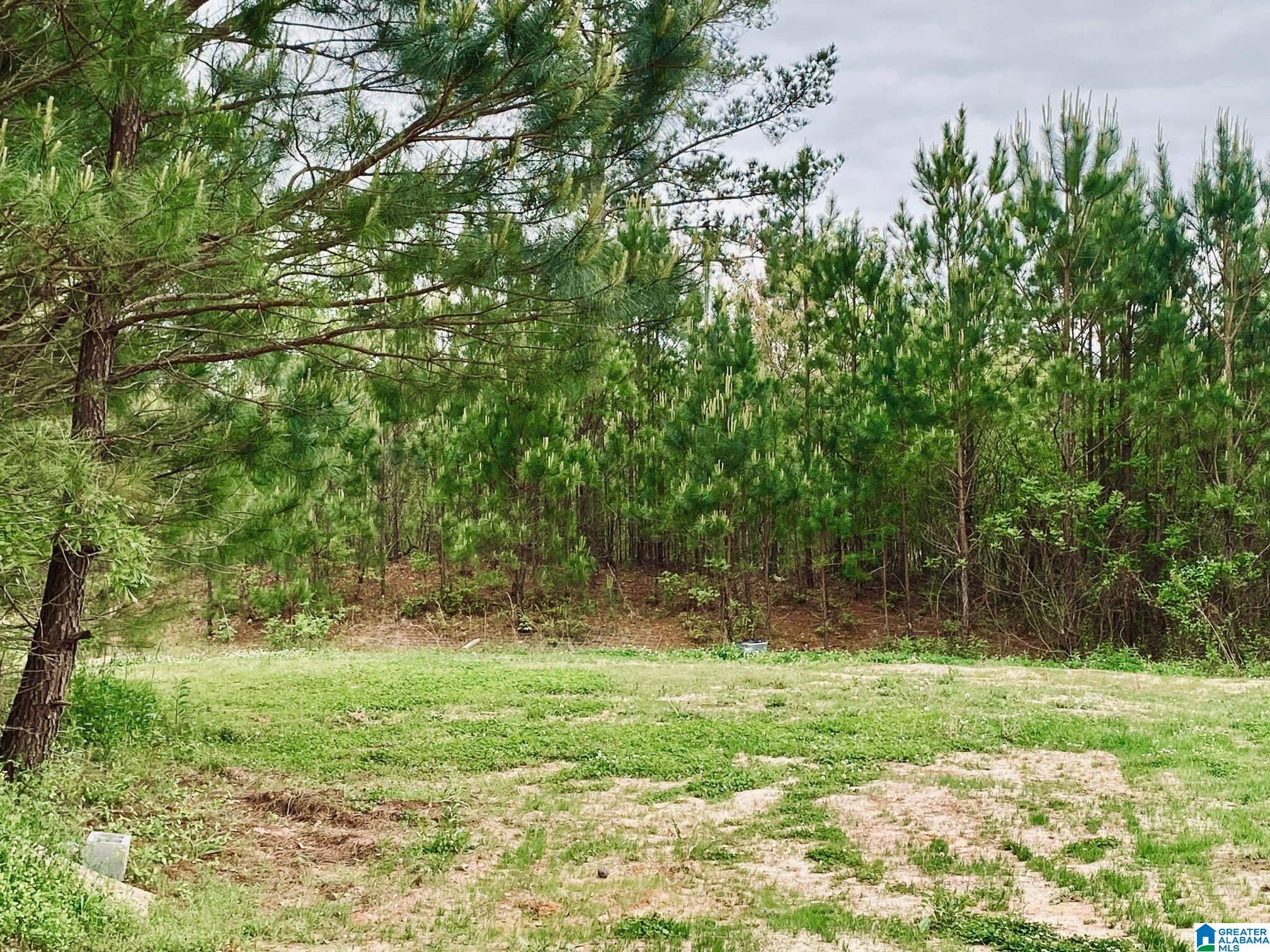 397 County Road 27 Heflin, AL 36264 - Photo 6 of 26