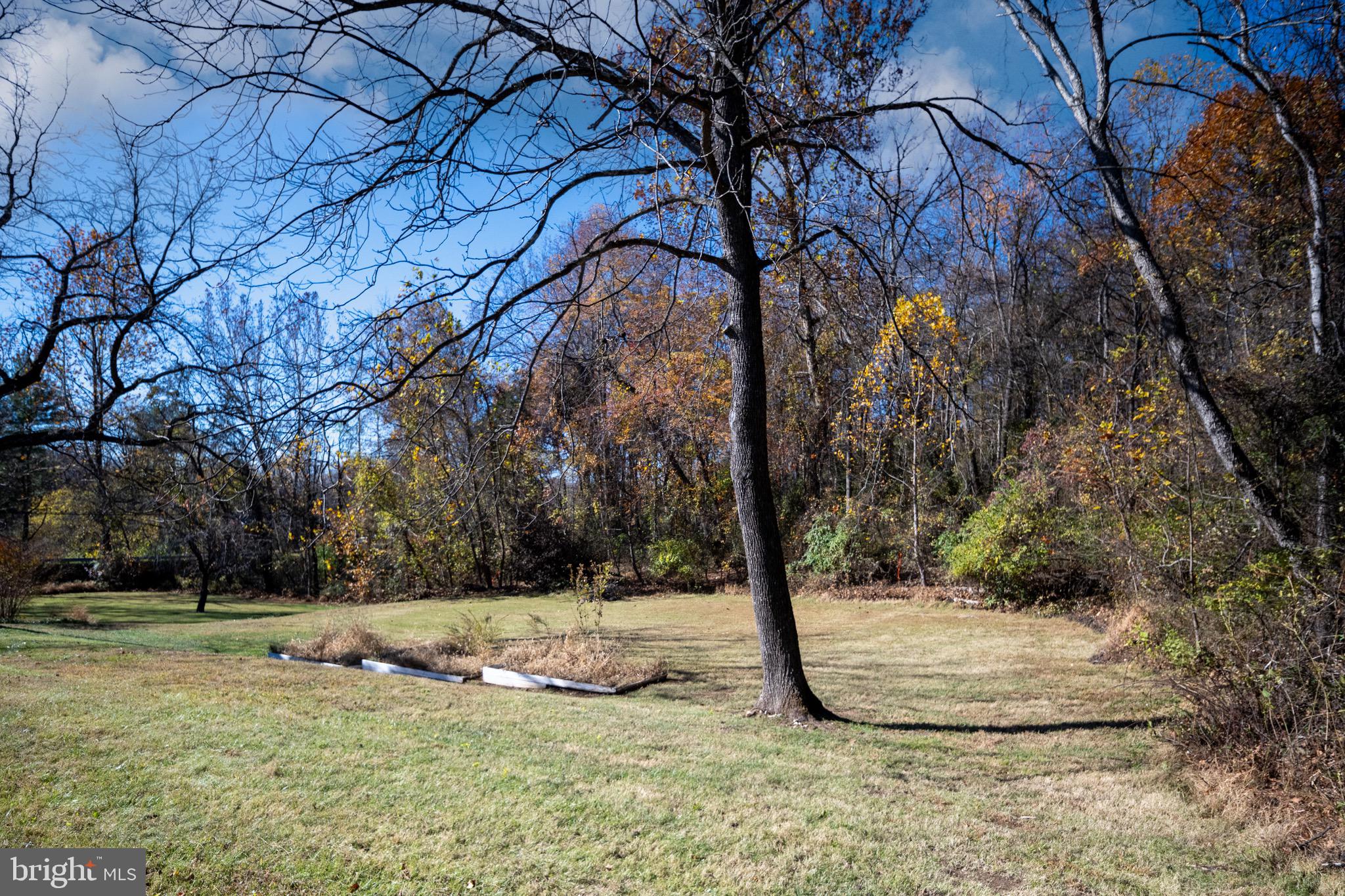 560 Richmond Road Amissville, VA 20106 - Photo 123 of 133 a view of a yard with large trees