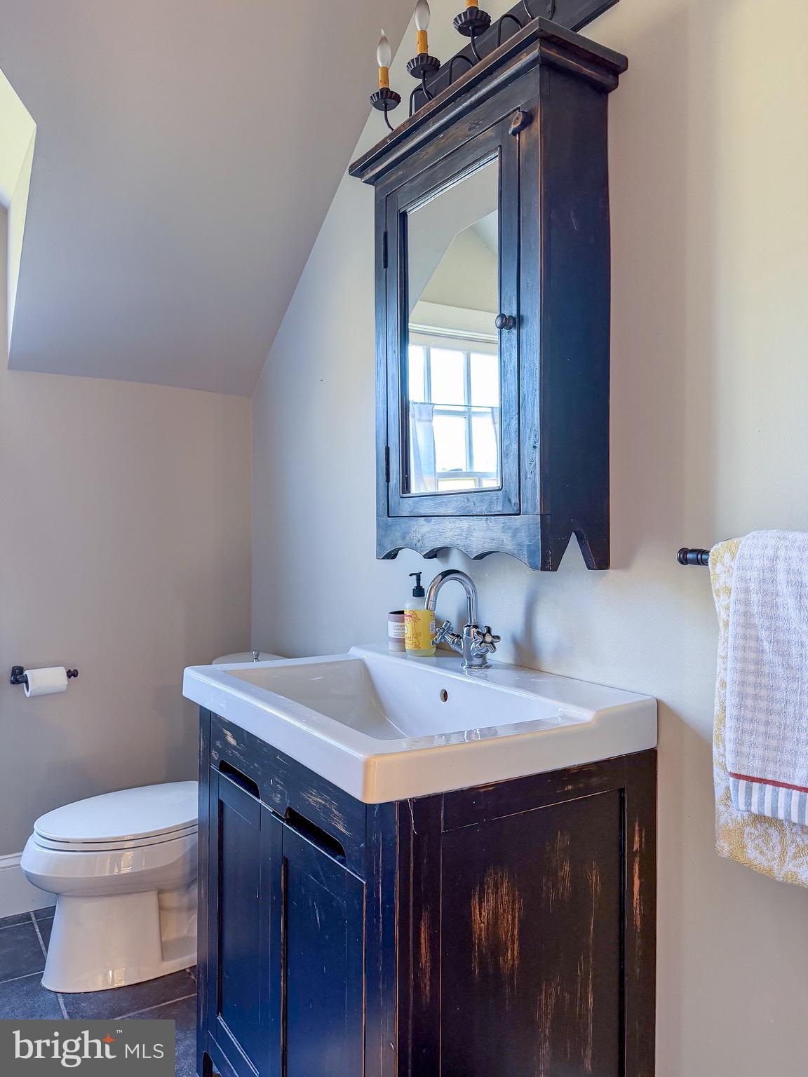 560 Richmond Road Amissville, VA 20106 - Photo 56 of 133 a bathroom with a sink a toilet and mirror