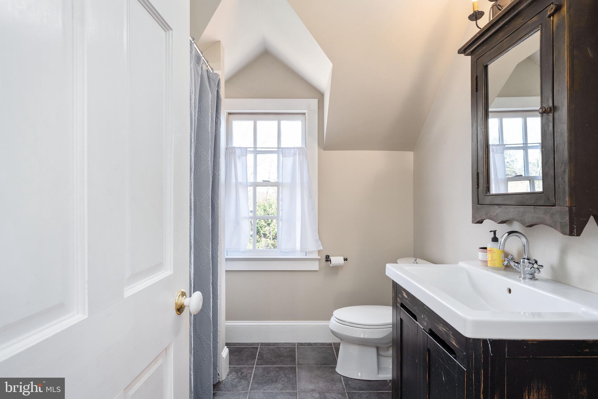 560 Richmond Road Amissville, VA 20106 - Photo 74 of 133 a bathroom with a toilet a sink a mirror and a window