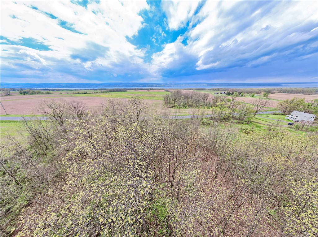 Upper Lake Road Lodi, NY 14860 - Photo 7 of 9