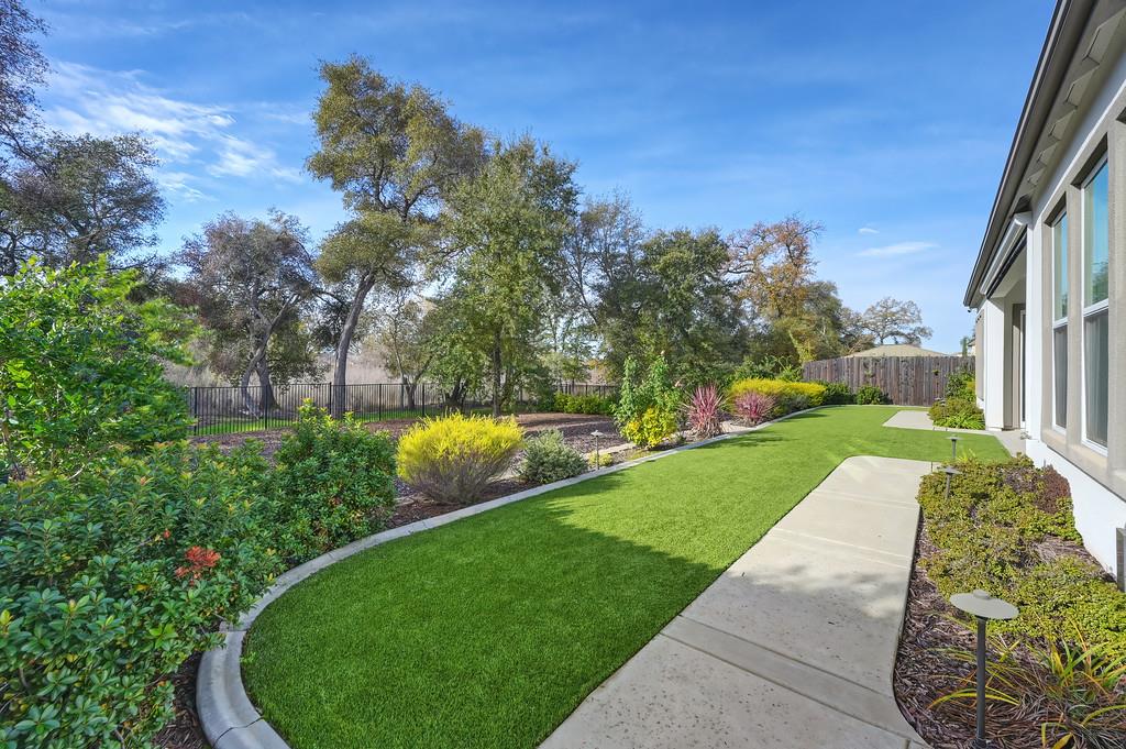 5855 Tree Swallow Circle Rocklin, CA 95677 - Photo 26 of 72 a view of yard with swimming pool and green space