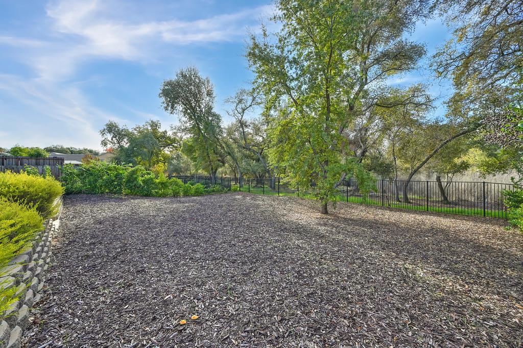 5855 Tree Swallow Circle Rocklin, CA 95677 - Photo 33 of 72 a view of a yard with a tree