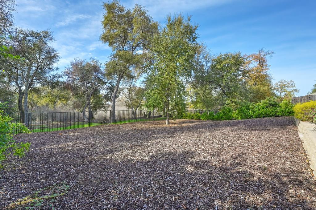 5855 Tree Swallow Circle Rocklin, CA 95677 - Photo 34 of 72 a view of a yard with a tree