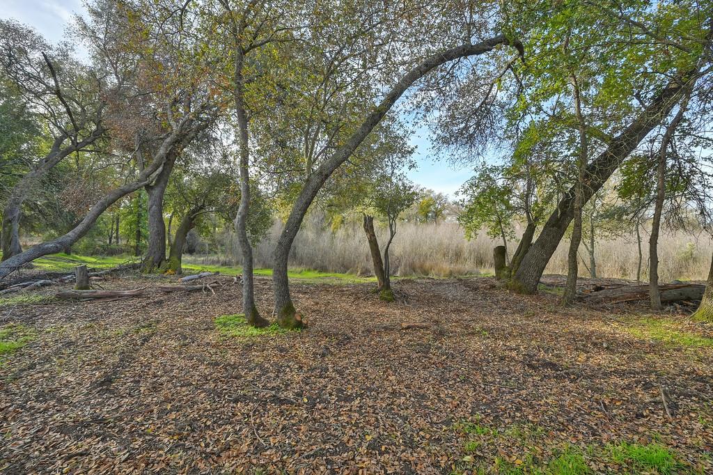 5855 Tree Swallow Circle Rocklin, CA 95677 - Photo 36 of 72