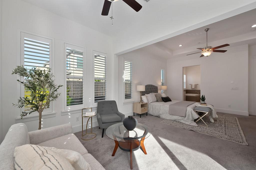 5855 Tree Swallow Circle Rocklin, CA 95677 - Photo 41 of 72 a living room with furniture and a potted plant