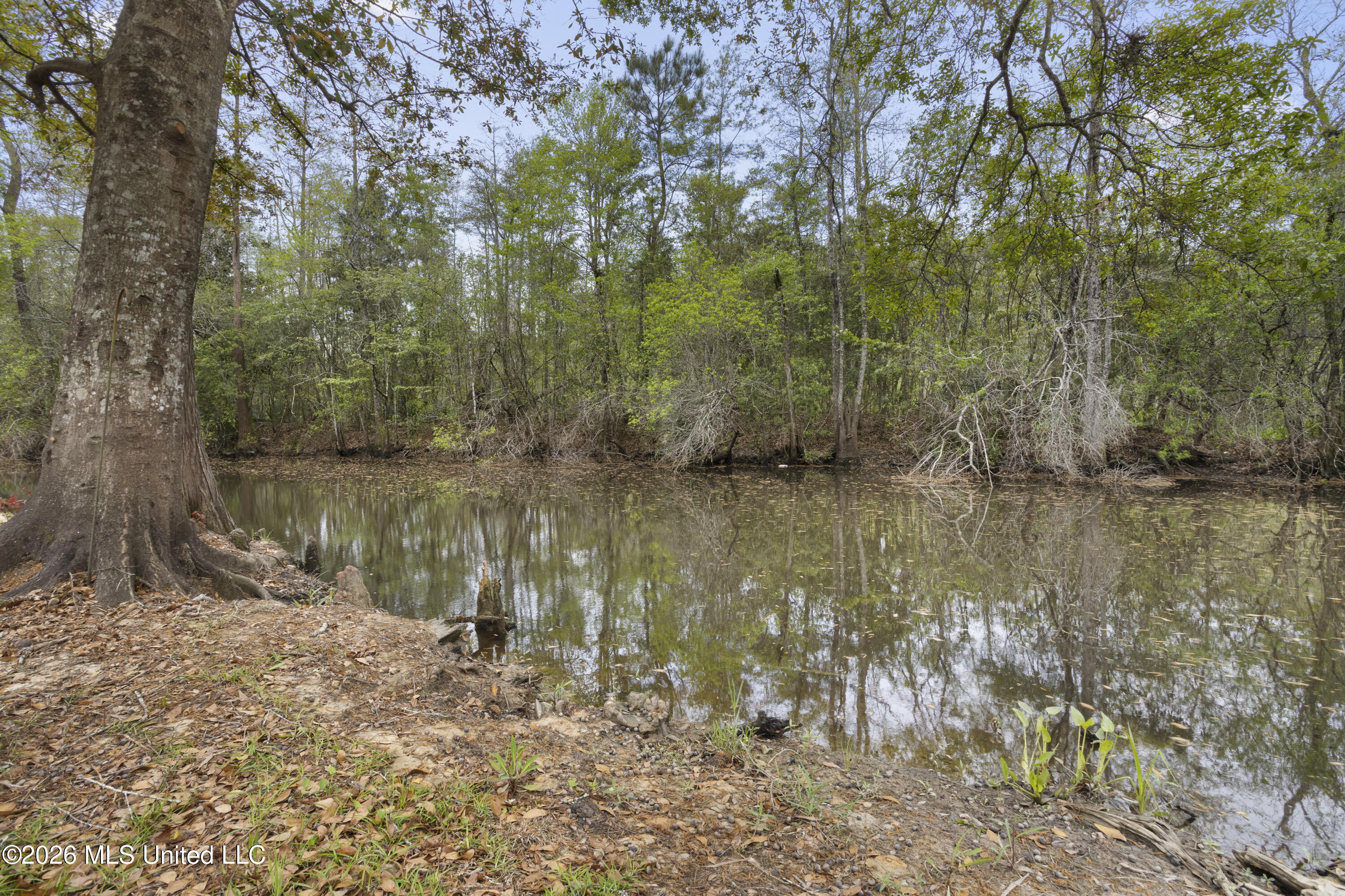 3401 Golden Rod Avenue Moss Point, MS 39562 - Photo 41 of 61 0042
