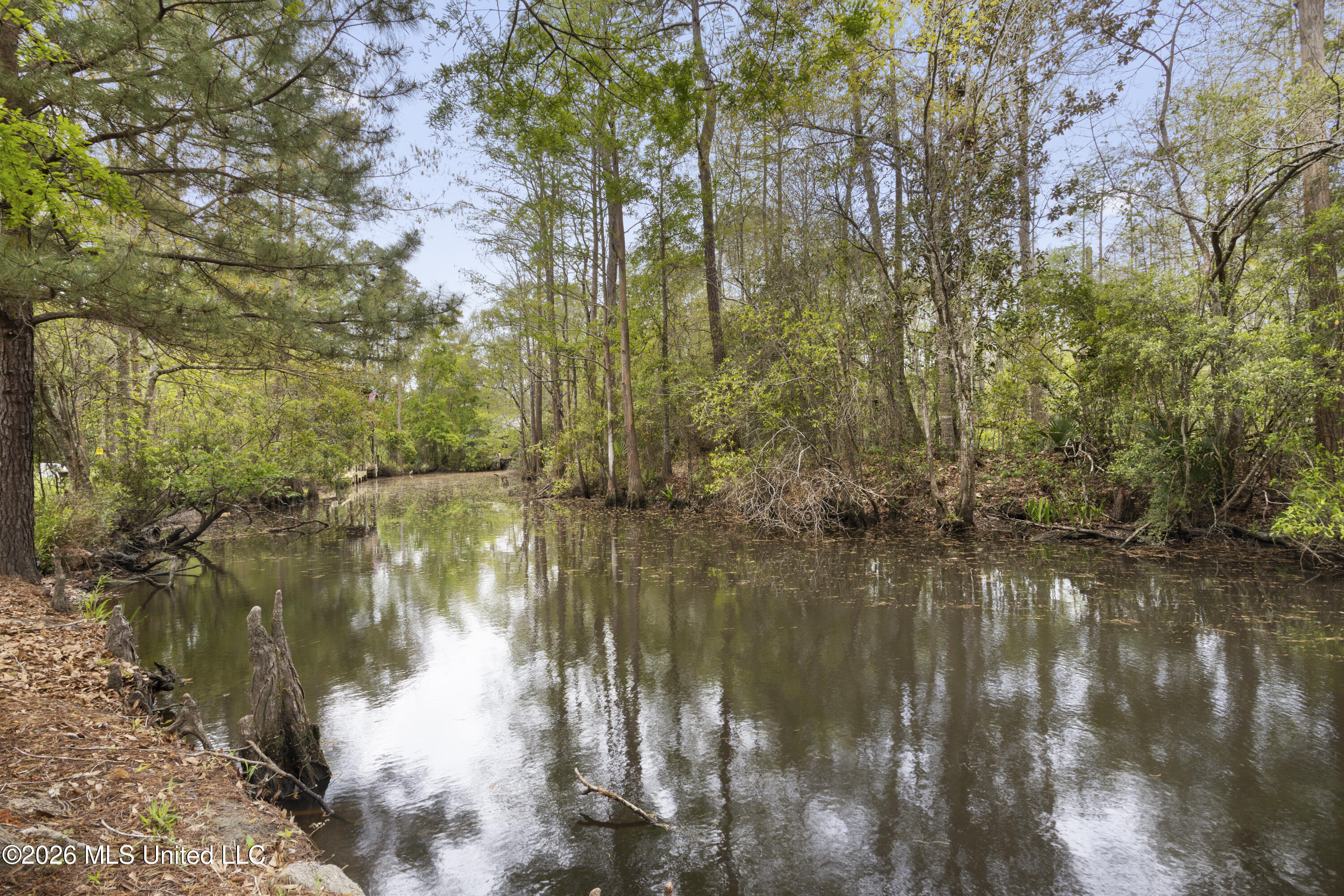 3401 Golden Rod Avenue Moss Point, MS 39562 - Photo 43 of 61 0044