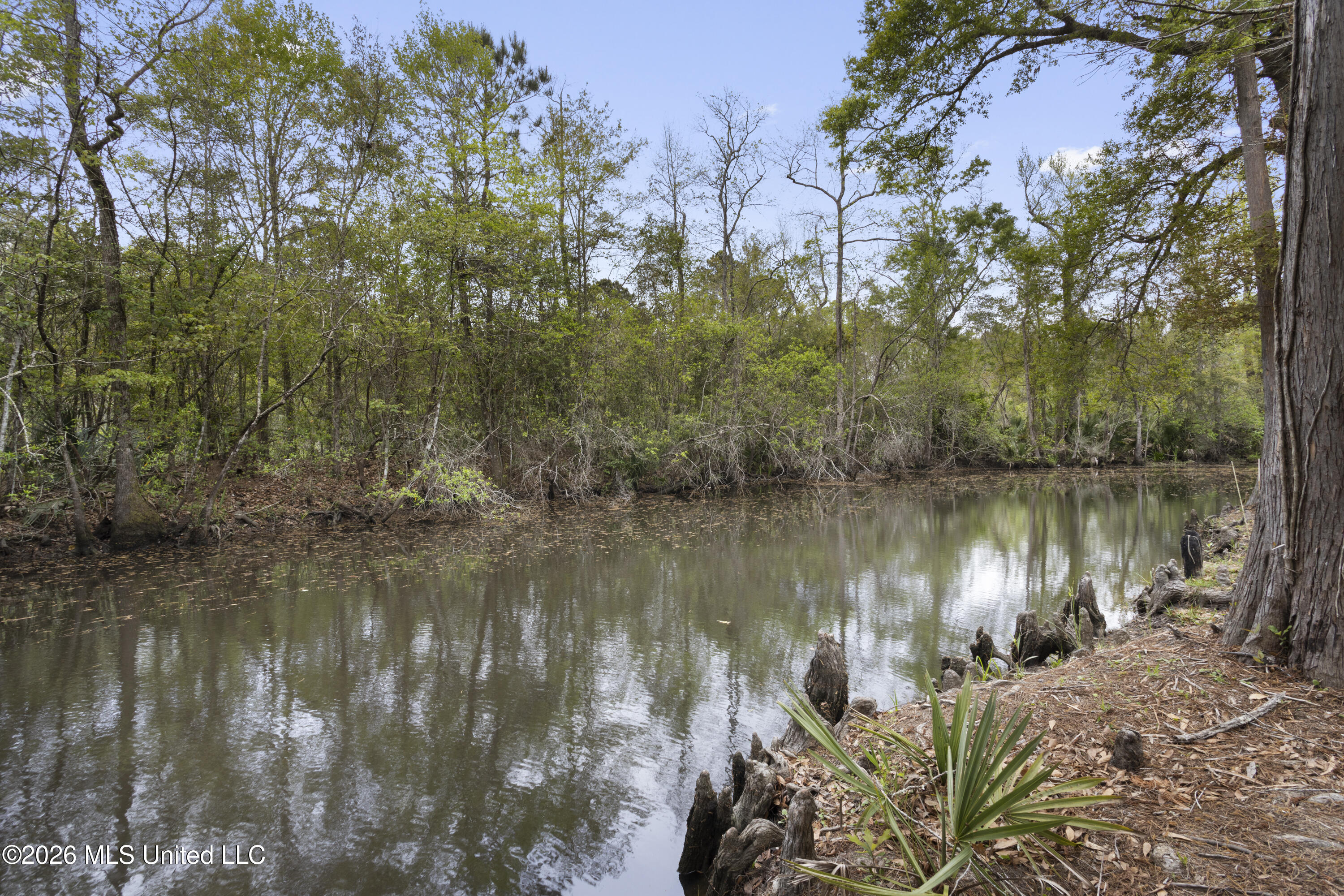 3401 Golden Rod Avenue Moss Point, MS 39562 - Photo 44 of 61 0045