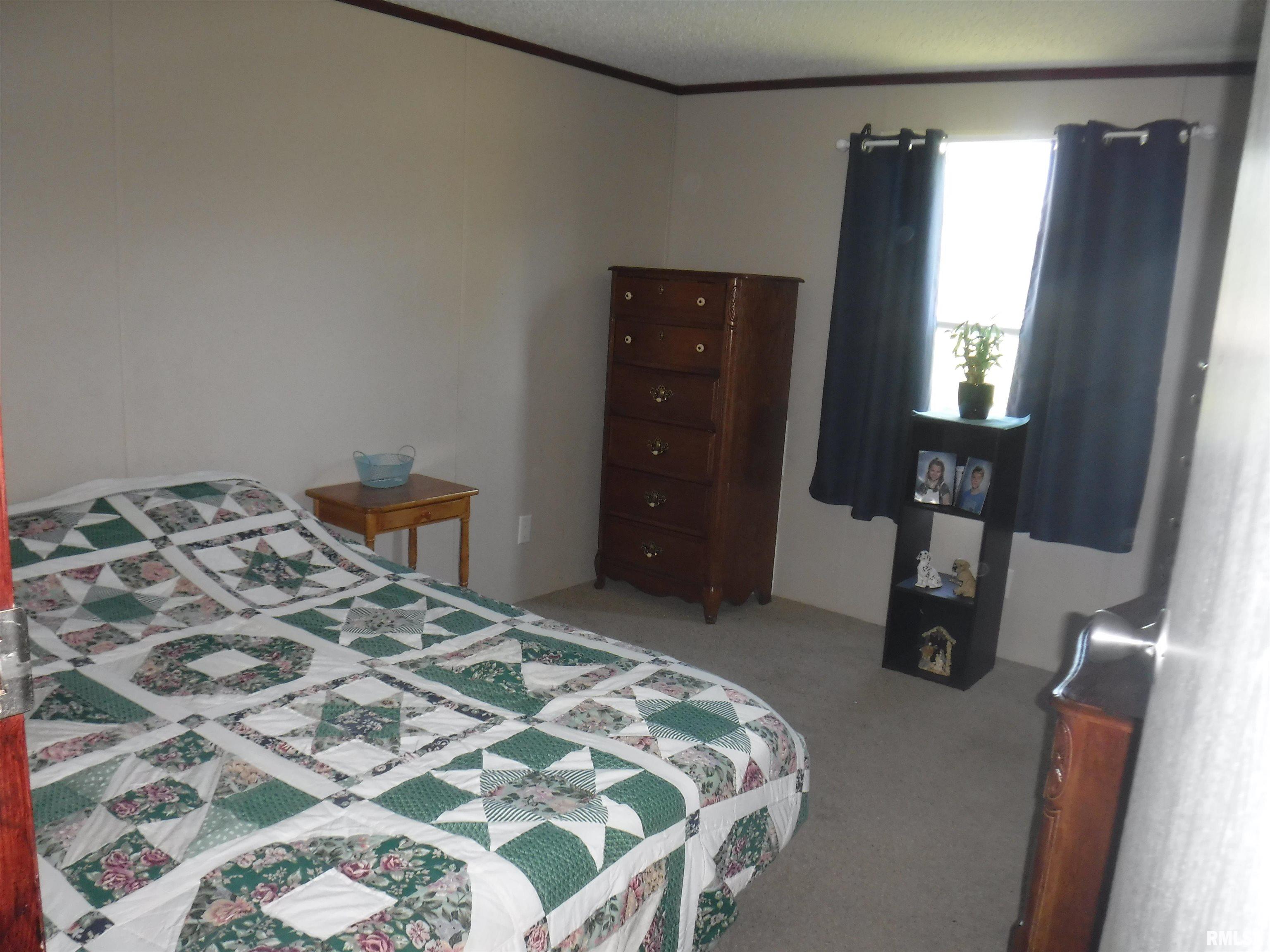 1723 Ullman Road Centralia, IL 62801 - Photo 6 of 18