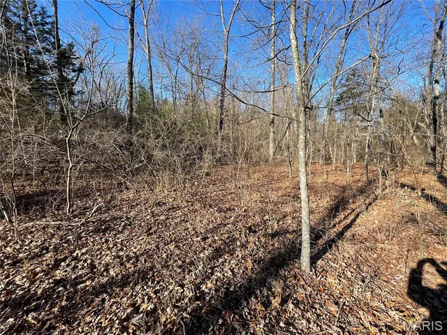 $10,000 | 3838 Oak Hill Road, Catawissa, MO 63015