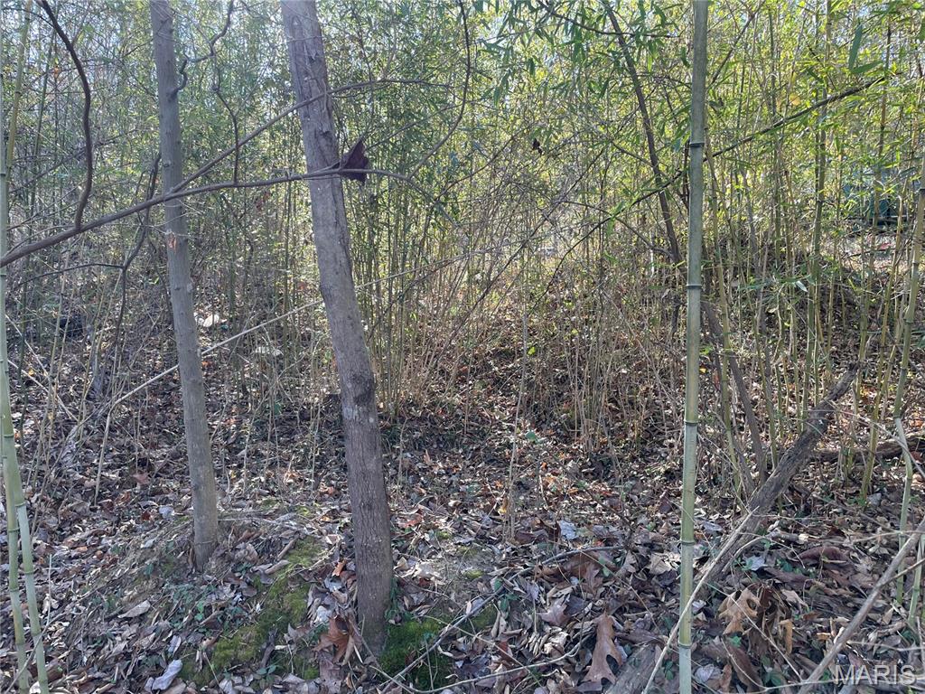 3838 Oak Hill Road Catawissa, MO 63015 - Photo 3 of 6