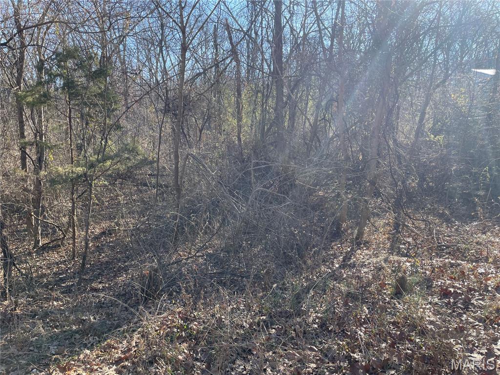 3838 Oak Hill Road Catawissa, MO 63015 - Photo 4 of 6