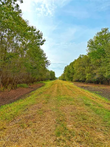 a view of an ocean from a yard