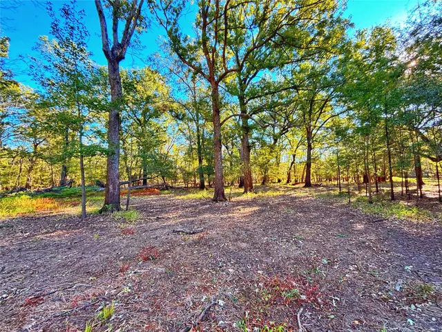 a view of a house with a big yard and large trees
