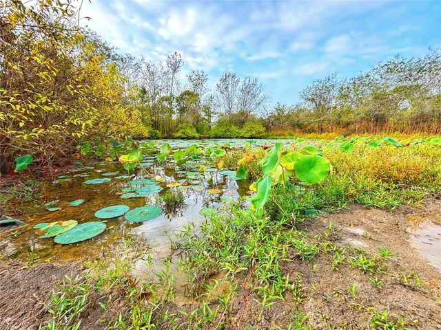a view of a field with an ocean
