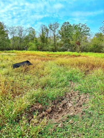 a view of an ocean and beach