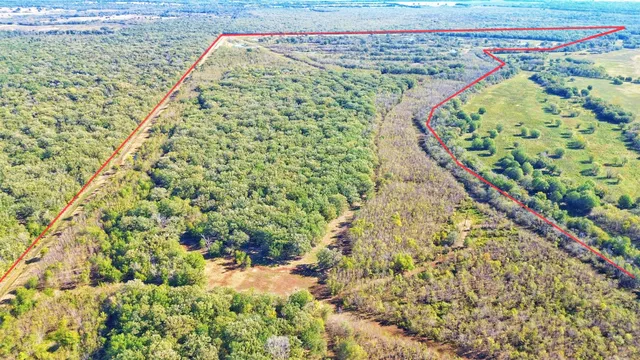 a view of a city with lush green forest