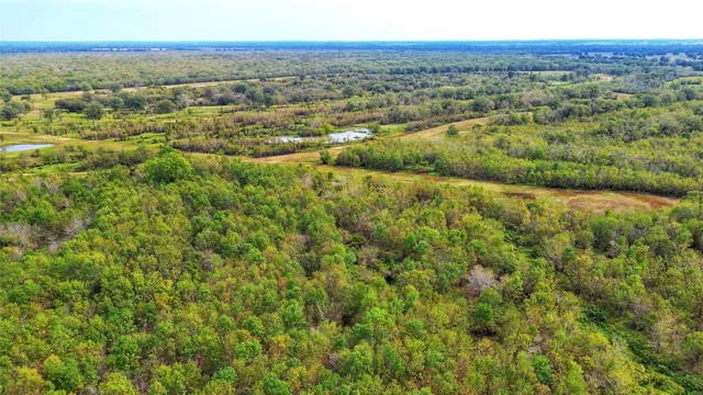 a view of a lush green field with lots of bushes