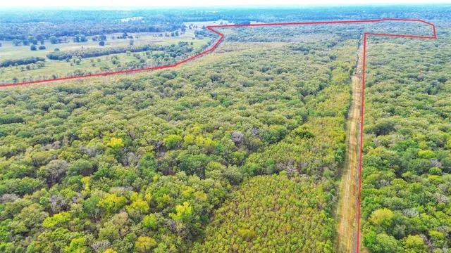 a view of a yard with an outdoor space