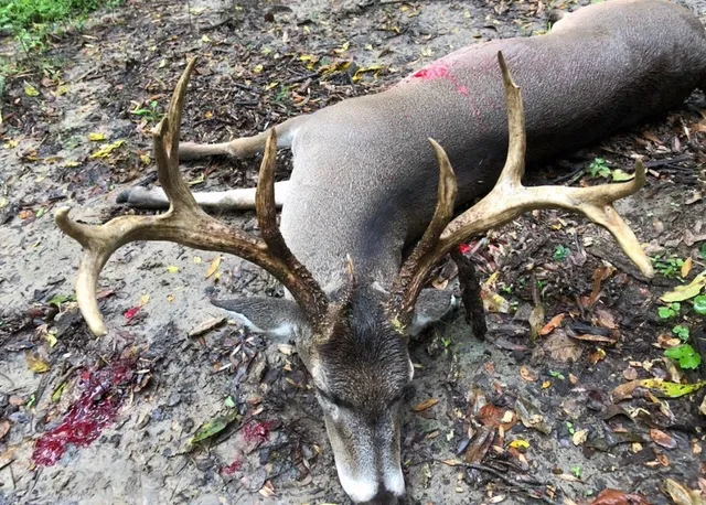 a view of outdoor space with seating area