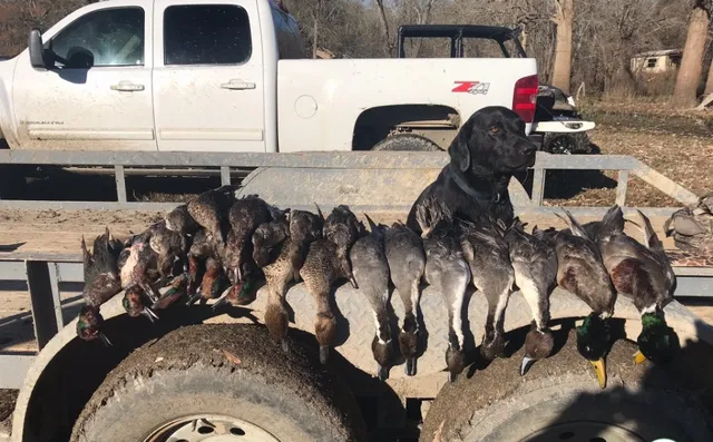 a view of a room with a window