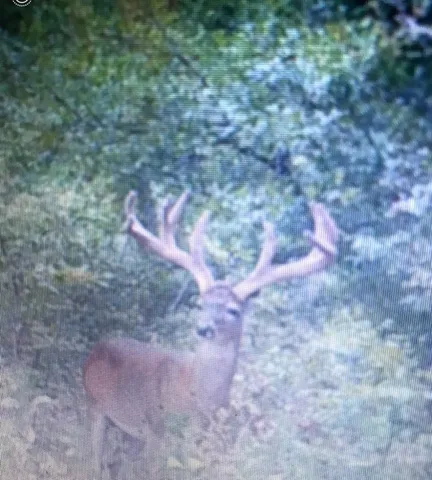 a view of a tennis court